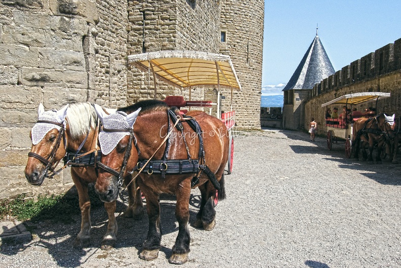 carcassonne_horse.jpg