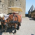 Carcassonne caballos